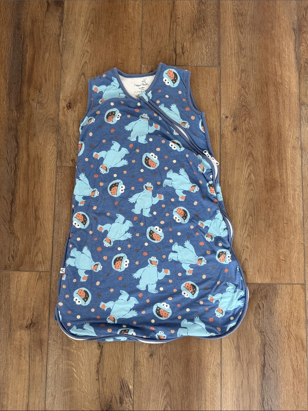 Blue Sesame Street Copper Pearl Sleep Sack 12-18 month